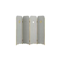 Blink Screen CG-L2111