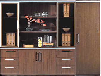 文件柜|实木文件柜|办公家具|实木文件柜|资料柜|档案柜|储存柜 CG-SMWJG-11