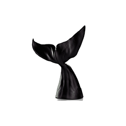 Whale  Chair CG-DW004