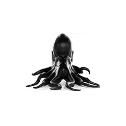 Octopus Chair CG-DW005