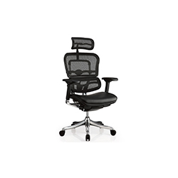 Erghuman office chair CG-金豪-1003-1