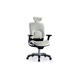 Apor-X office chair CG-金爵-1004-1
