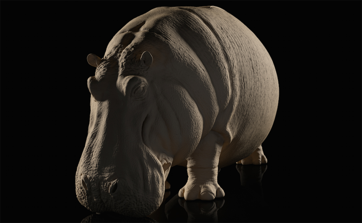 创意家具 - 坐具|休闲椅|办公家具|设计师家具|河马椅