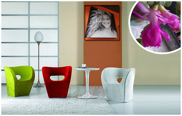 现代经典休闲椅|布面休闲椅|办公家具|小阿尔贝特椅|休闲椅，布面休闲椅，设计师椅，茶餐厅椅，酒吧椅