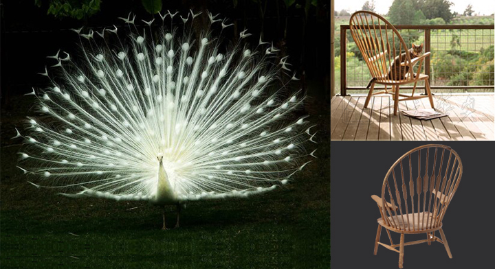 现代经典休闲椅|木制休闲椅|办公家具|孔雀椅|休闲椅,木质单椅