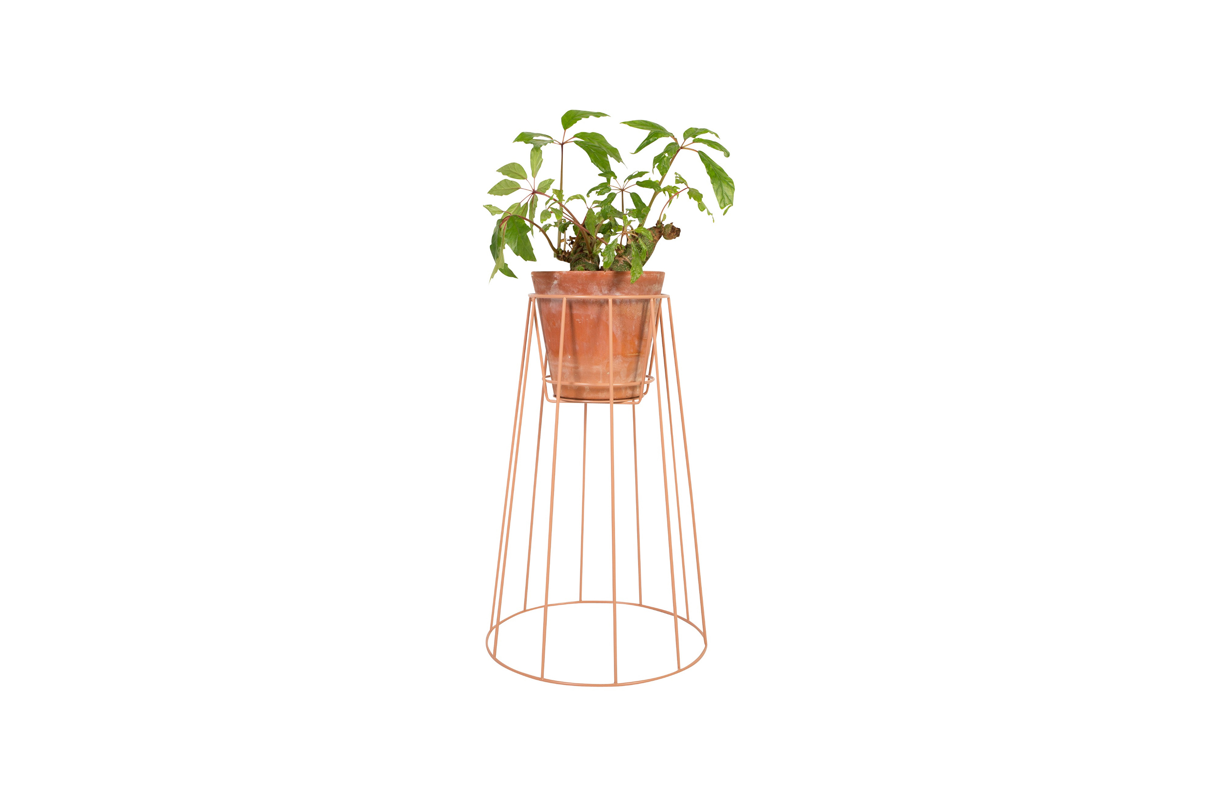 万象城网页版 - 附件|花器|办公家具|万象城(中国)家具|西布莉植物架