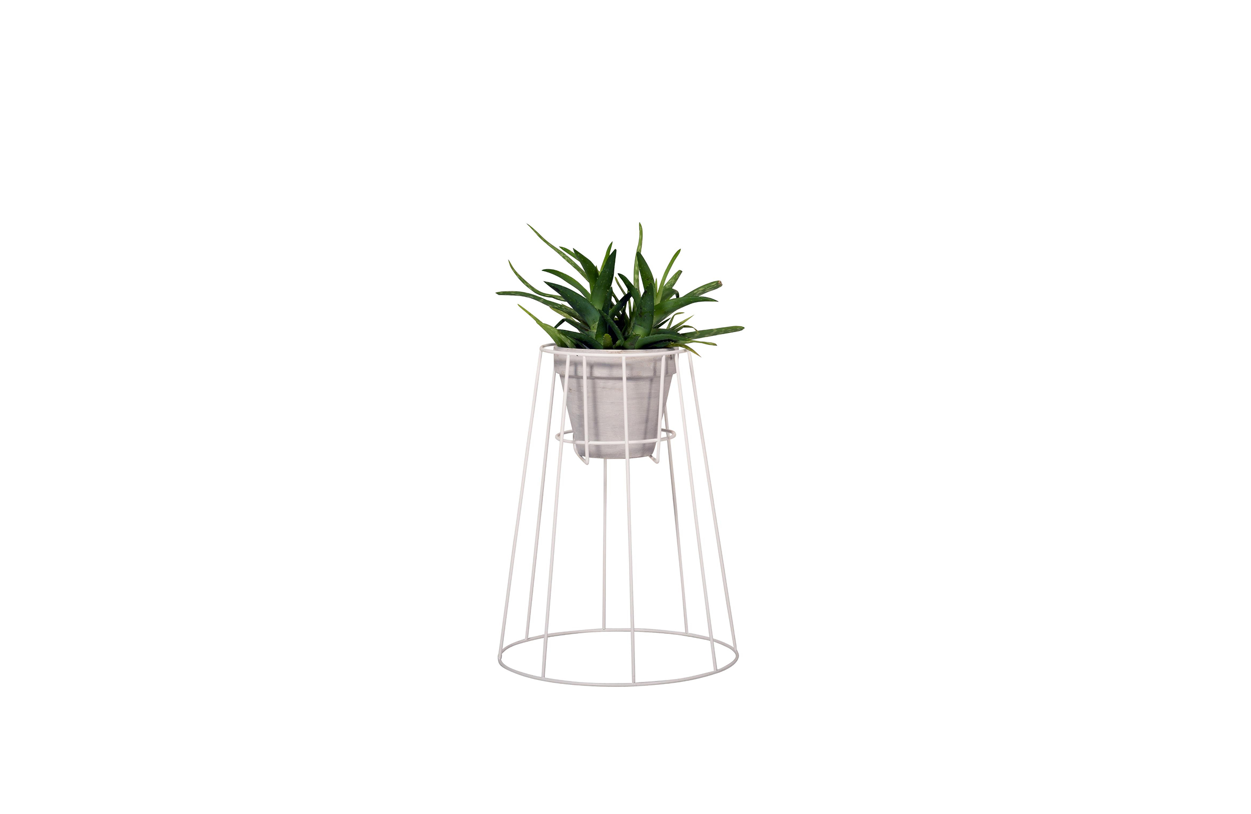 万象城网页版 - 附件|花器|办公家具|万象城(中国)家具|西布莉植物架