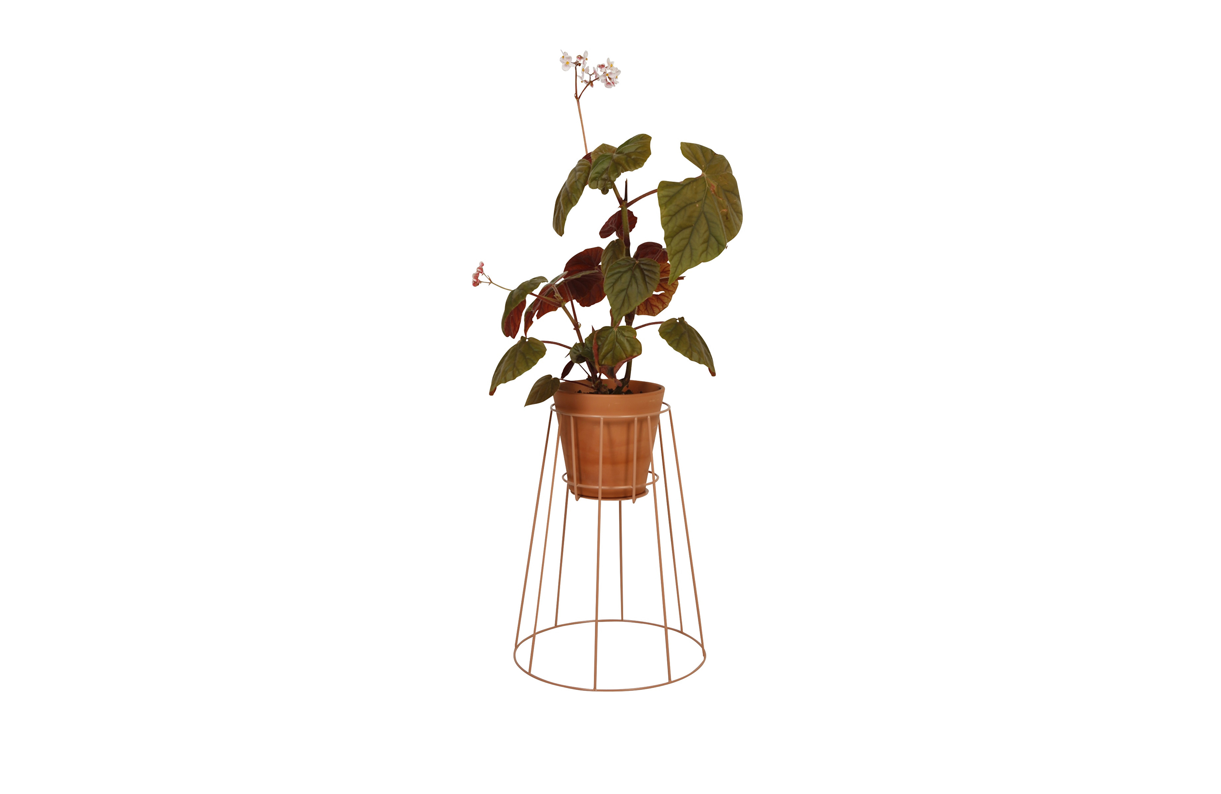 万象城网页版 - 附件|花器|办公家具|万象城(中国)家具|西布莉植物架