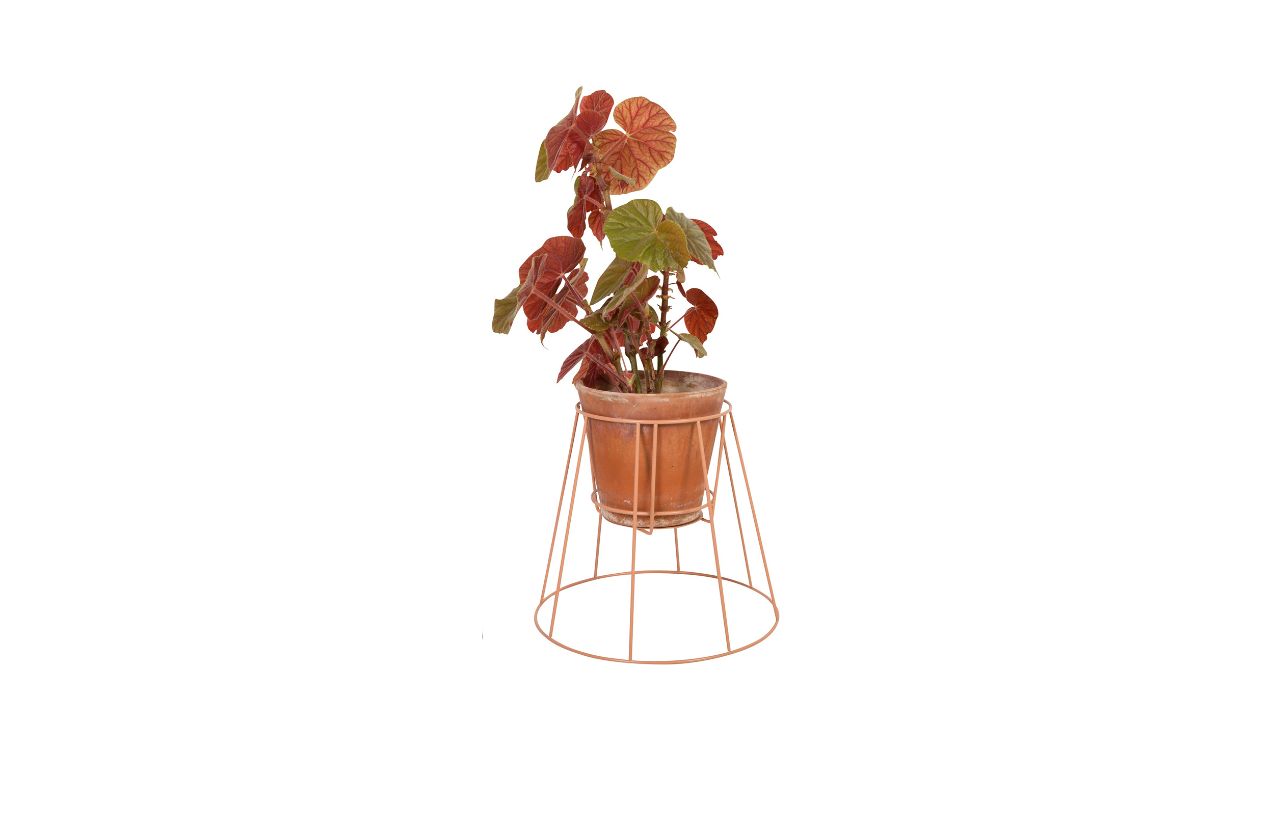 万象城网页版 - 附件|花器|办公家具|万象城(中国)家具|西布莉植物架