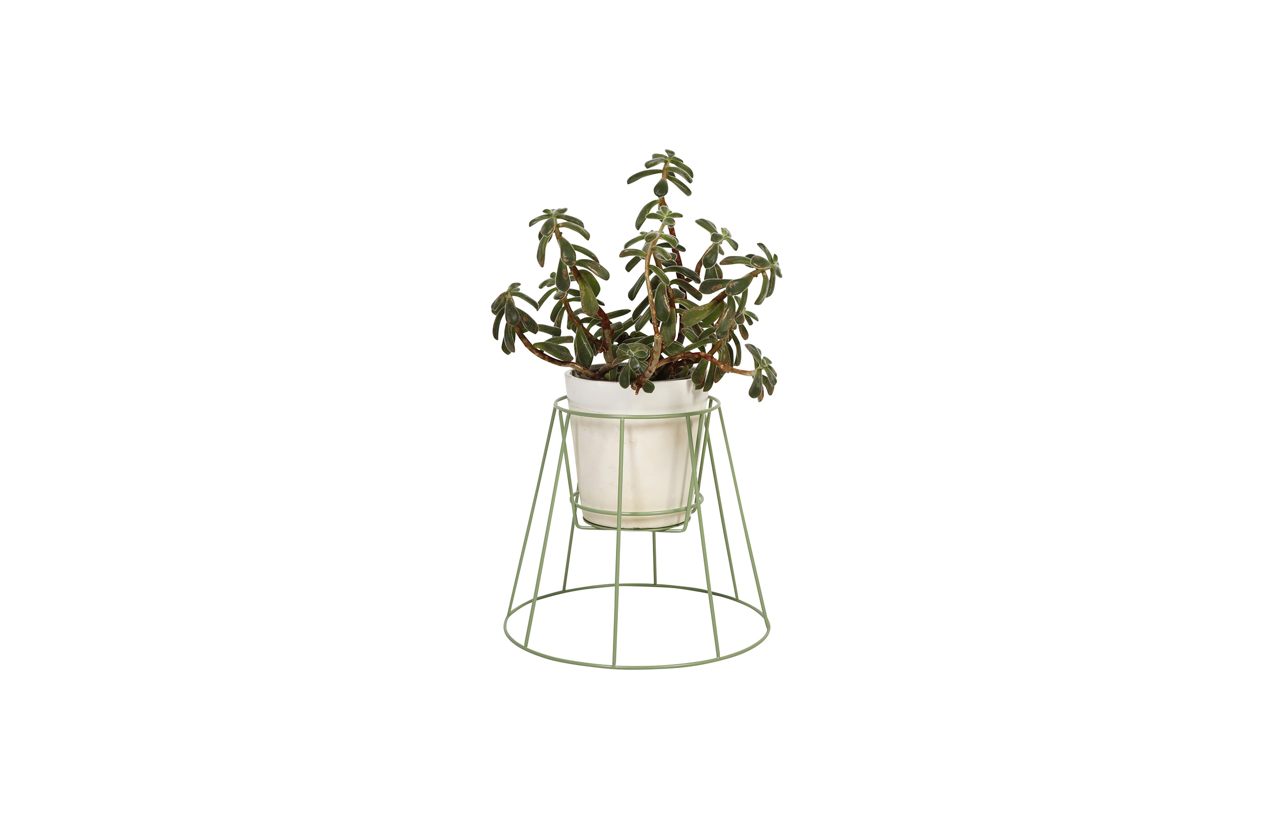 万象城网页版 - 附件|花器|办公家具|万象城(中国)家具|西布莉植物架