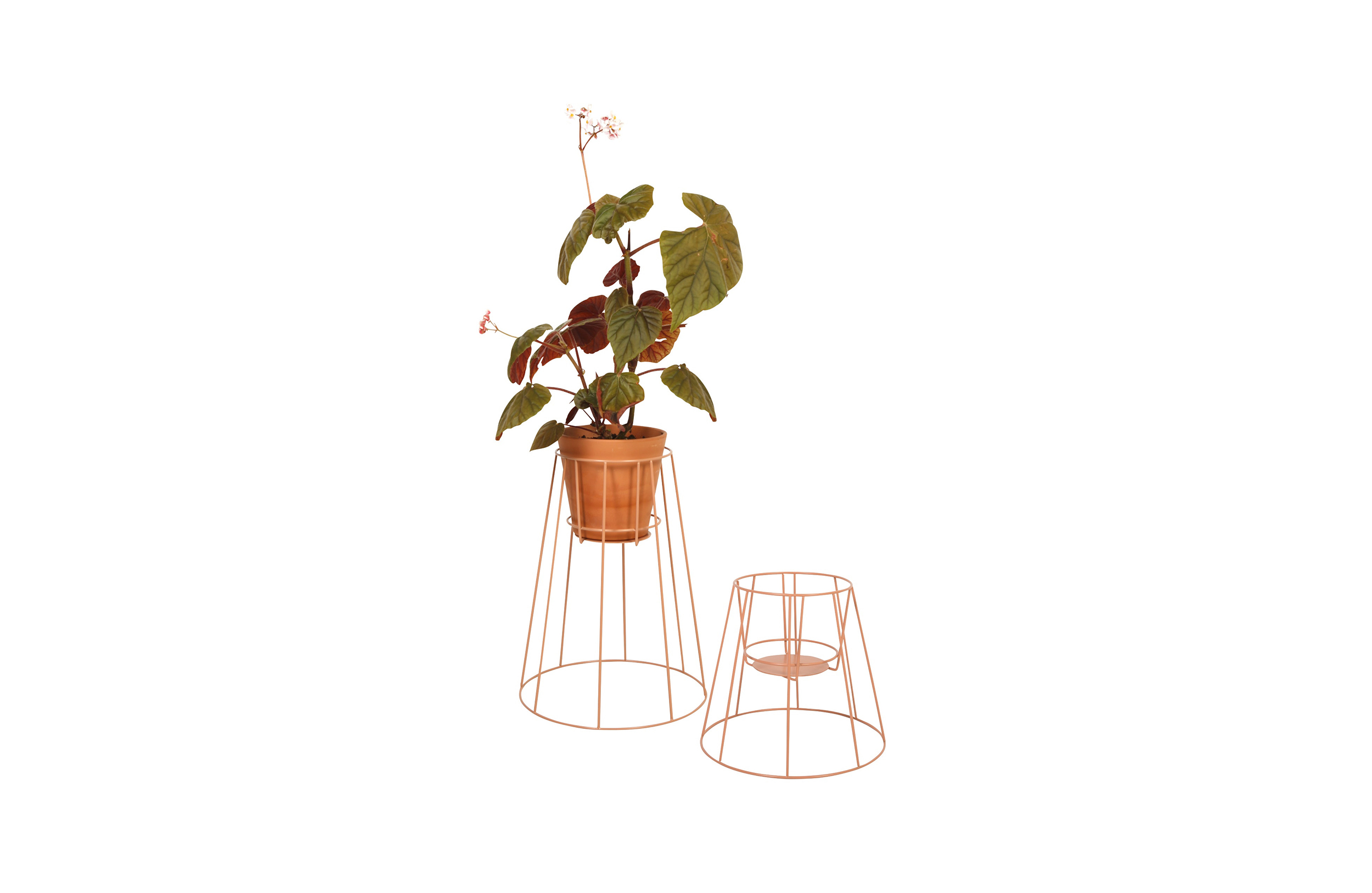 万象城网页版 - 附件|花器|办公家具|万象城(中国)家具|西布莉植物架