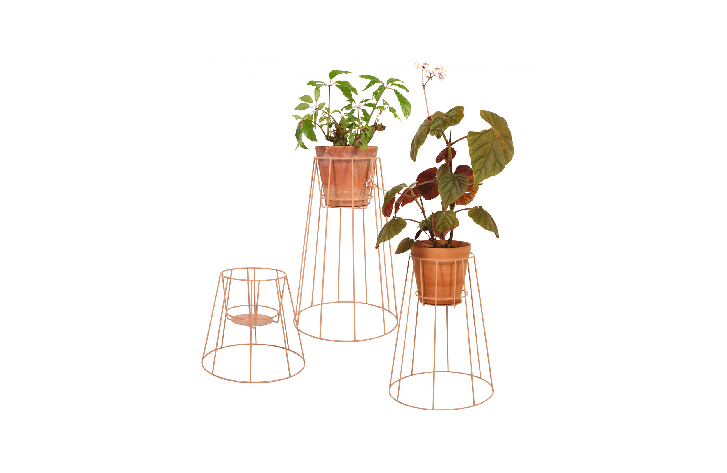 万象城网页版 - 附件|花器|办公家具|万象城(中国)家具|西布莉植物架