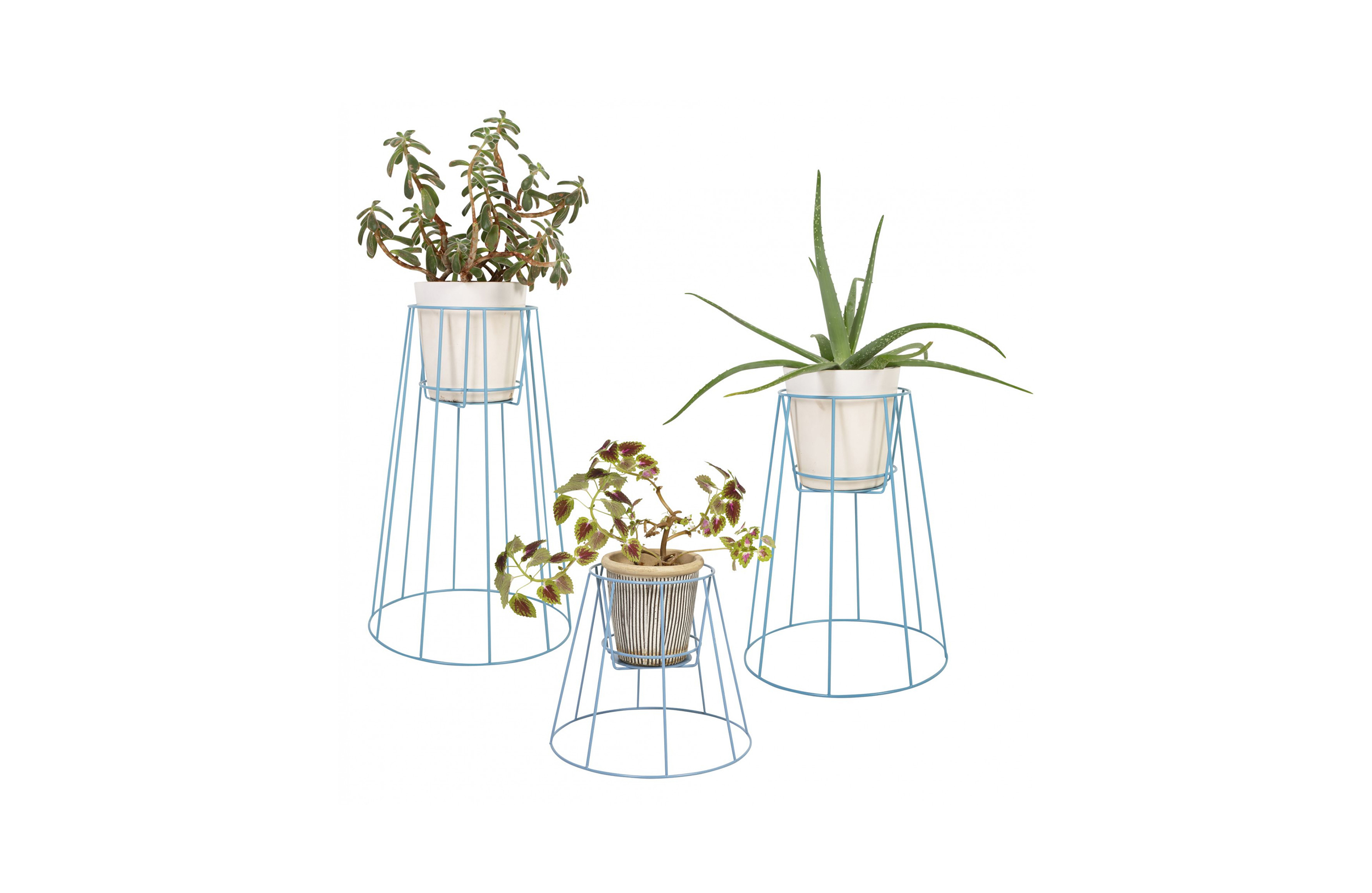 万象城网页版 - 附件|花器|办公家具|万象城(中国)家具|西布莉植物架