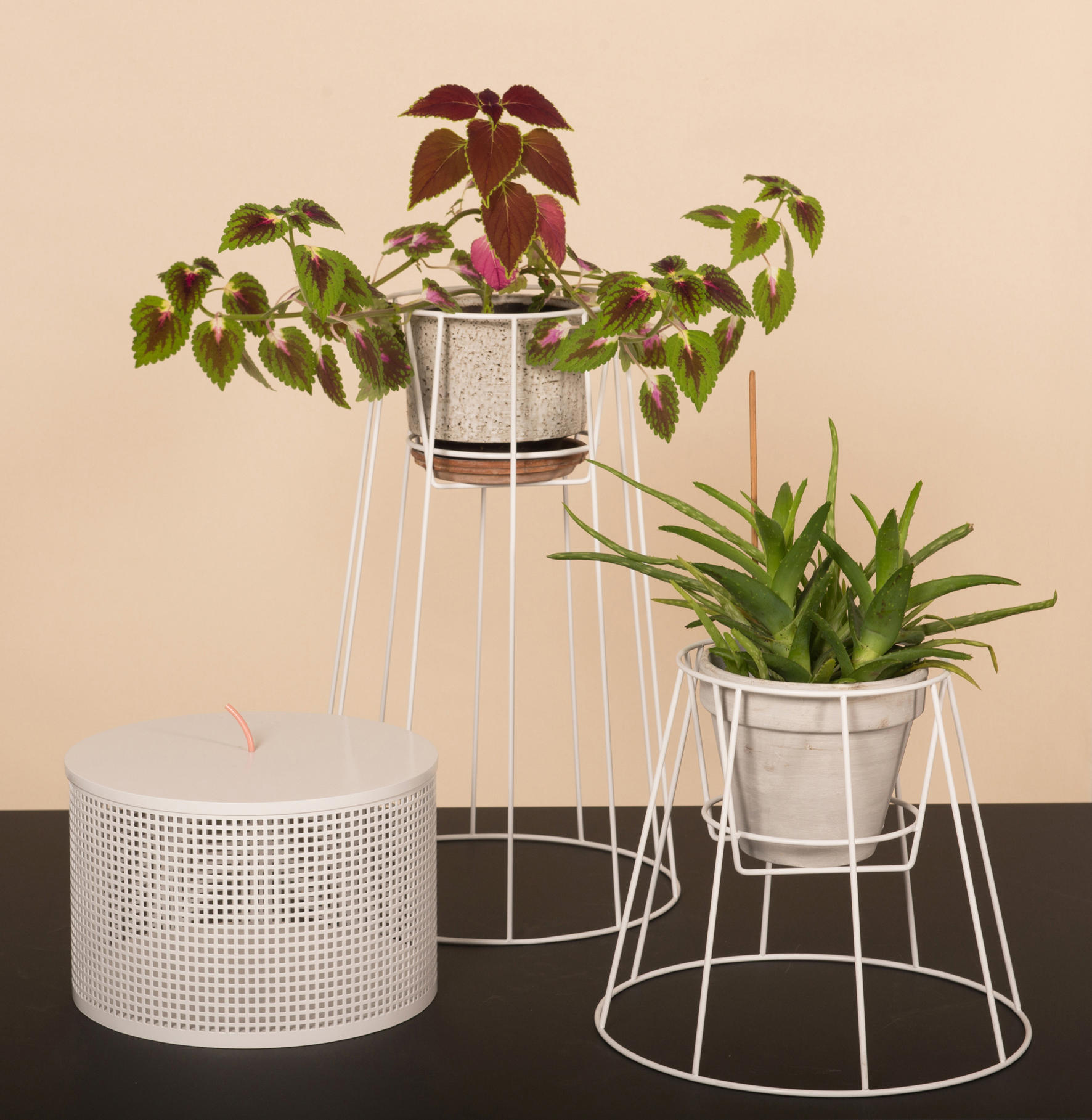 万象城网页版 - 附件|花器|办公家具|万象城(中国)家具|西布莉植物架